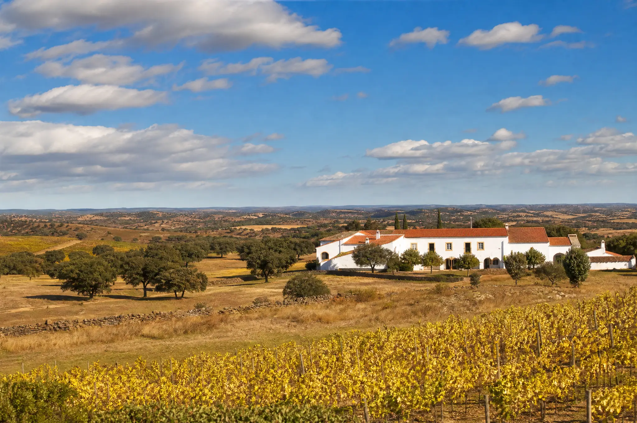 Alentejo Estate