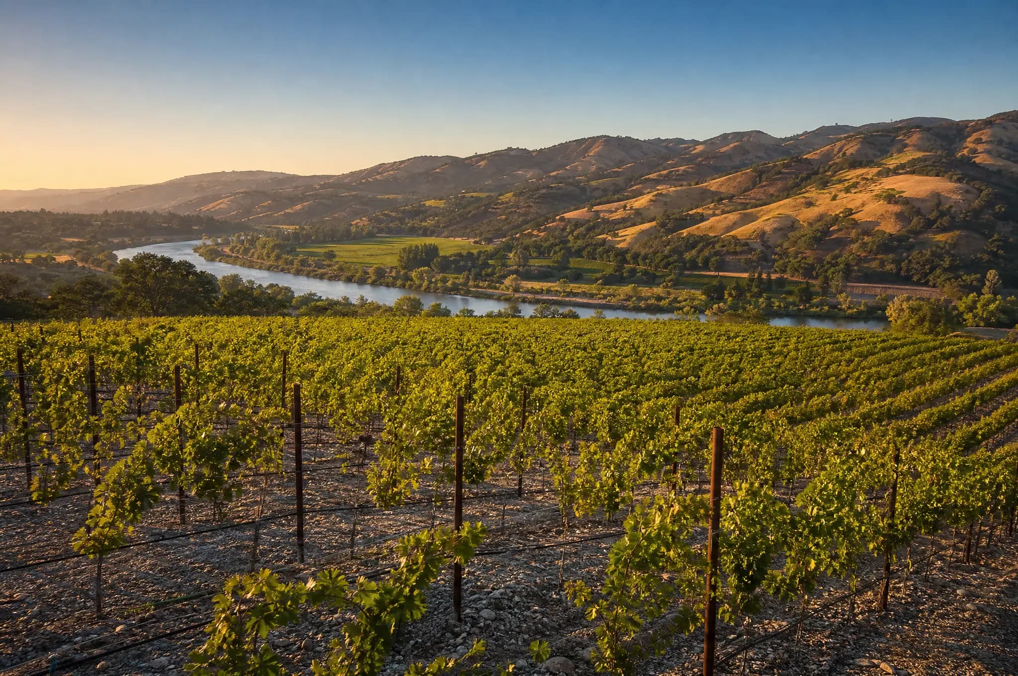 Alexander Valley Estate, Alexander Valley