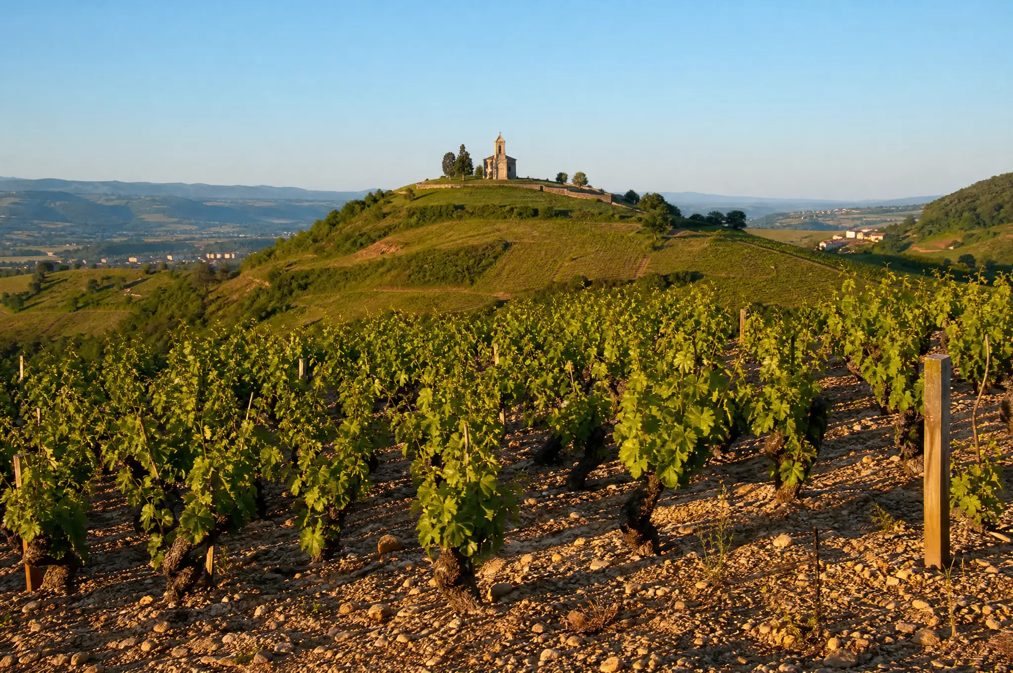 Beaujolais Crus Estate, Beaujolais Crus