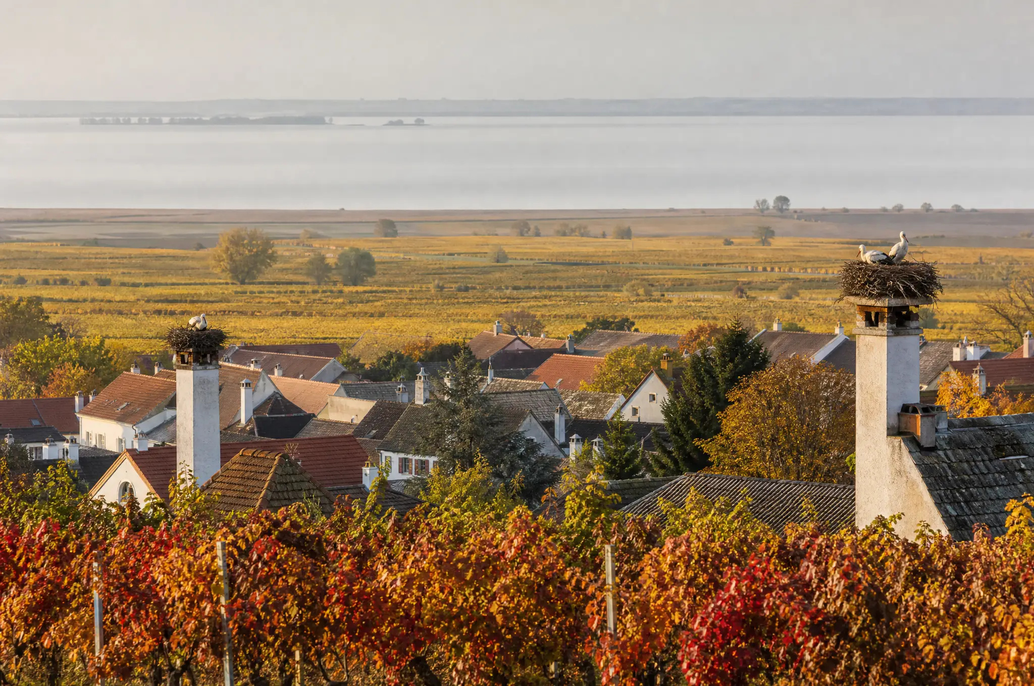 Burgenland Estate, Burgenland