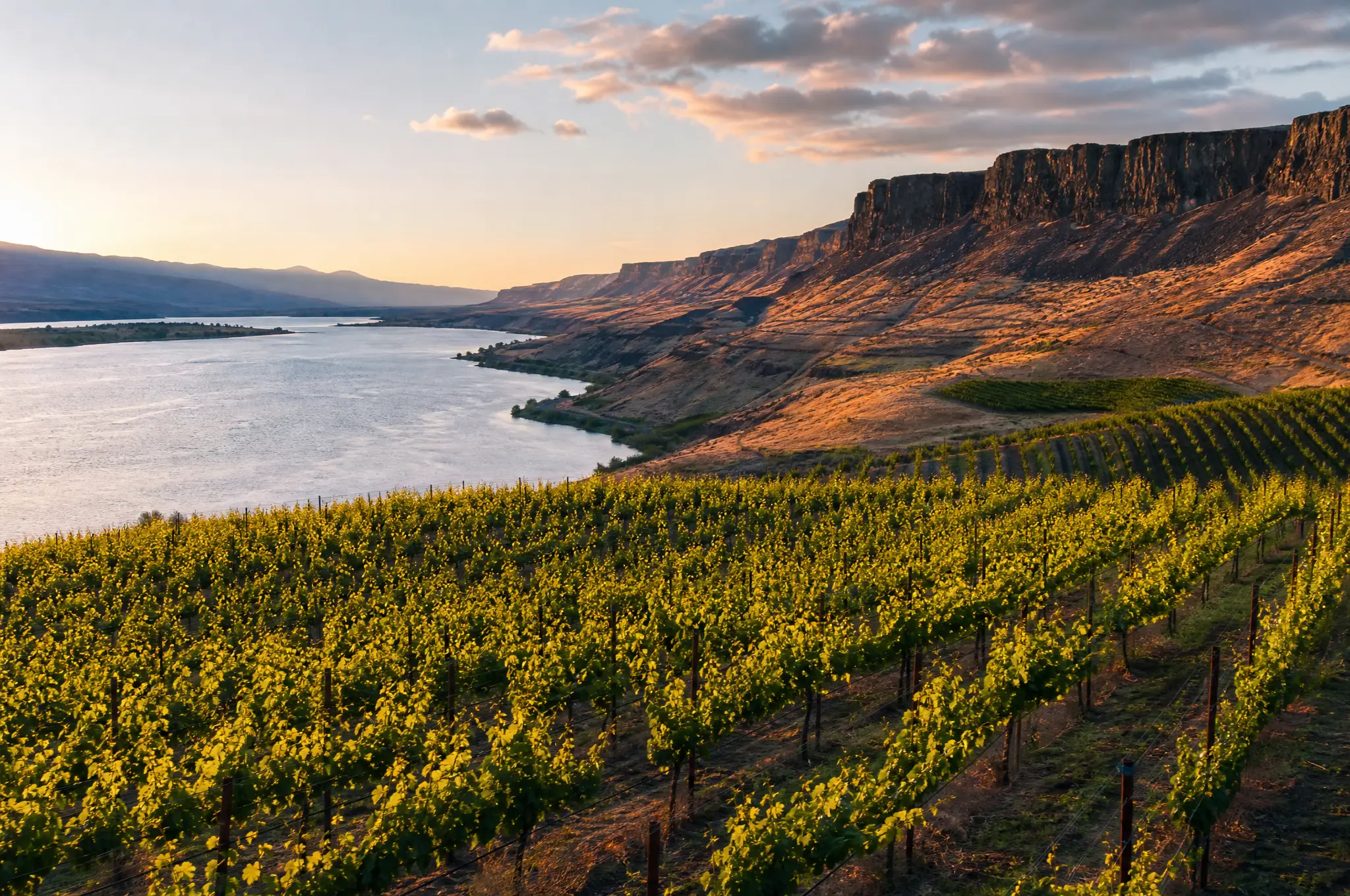 Columbia Valley Estate, Columbia Valley