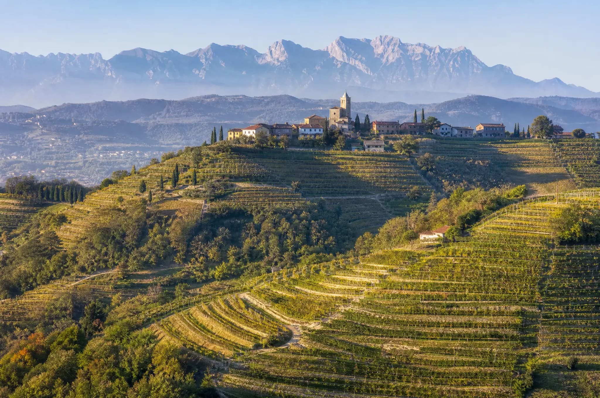 Collio Estate, Collio