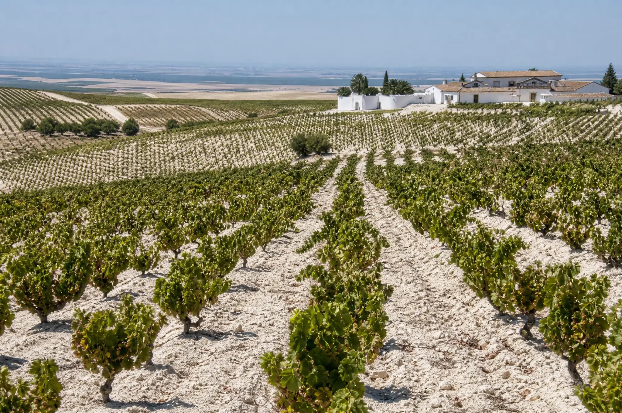 Jerez Estate, Jerez