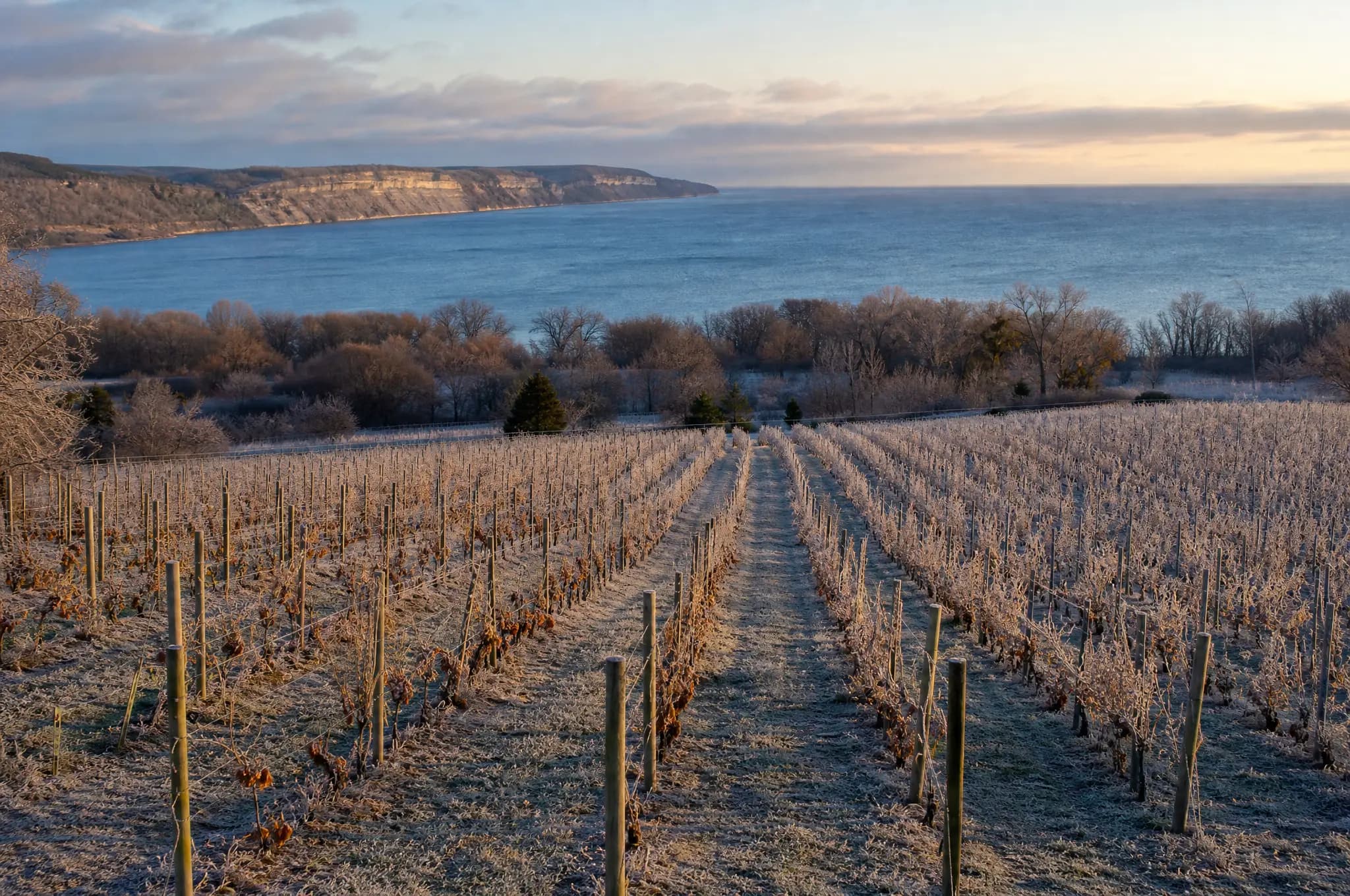 Niagara Peninsula Estate, Niagara Peninsula