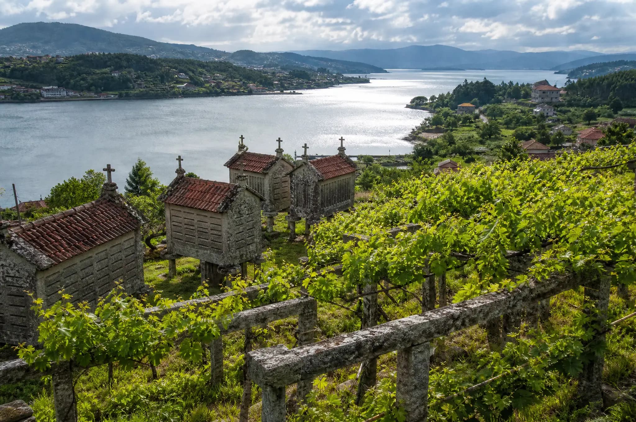 Rías Baixas Estate