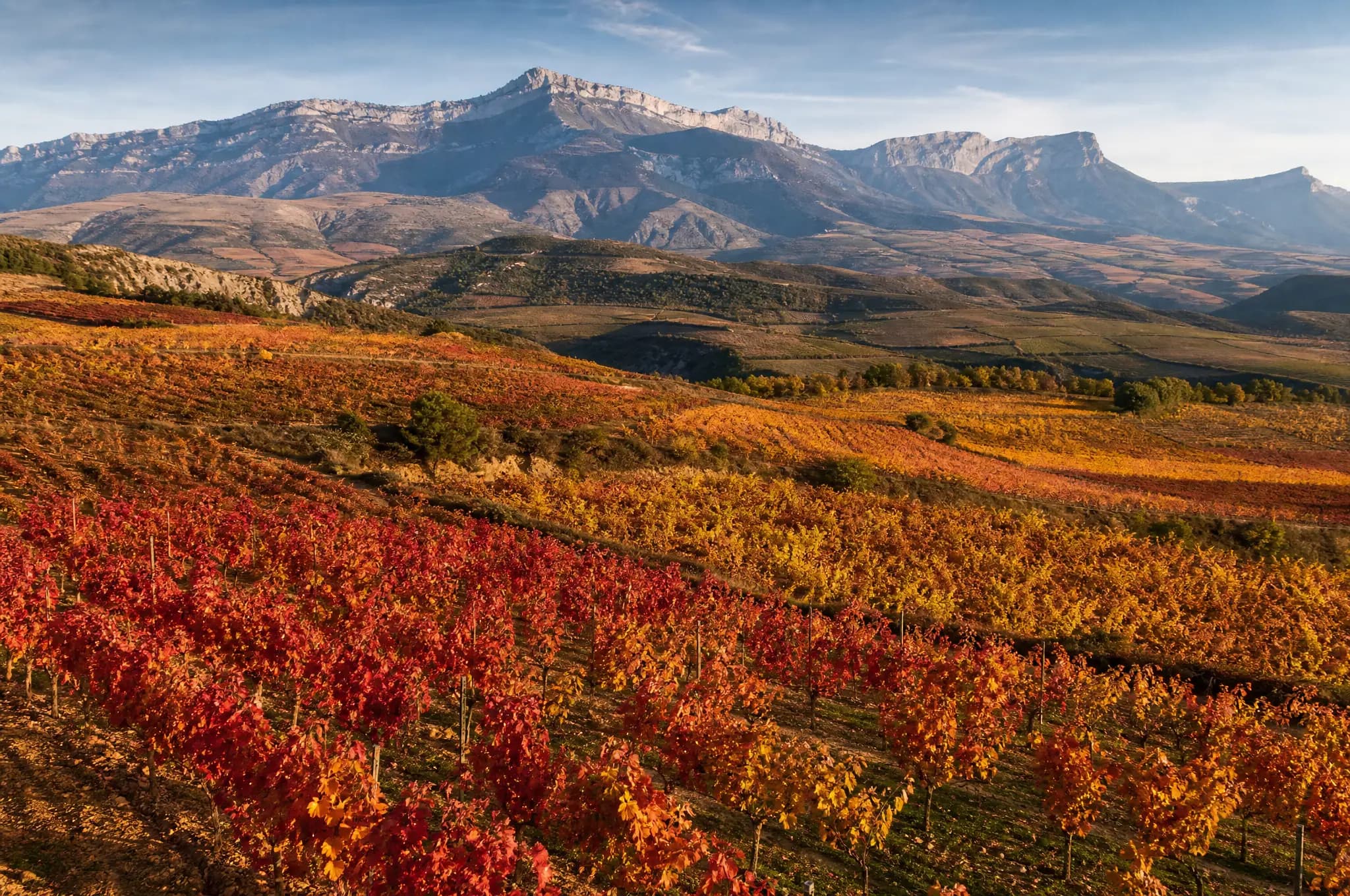 Rioja Estate