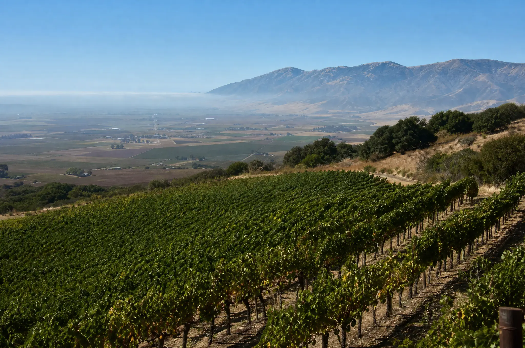 Santa Lucia Highlands Estate, Santa Lucia Highlands