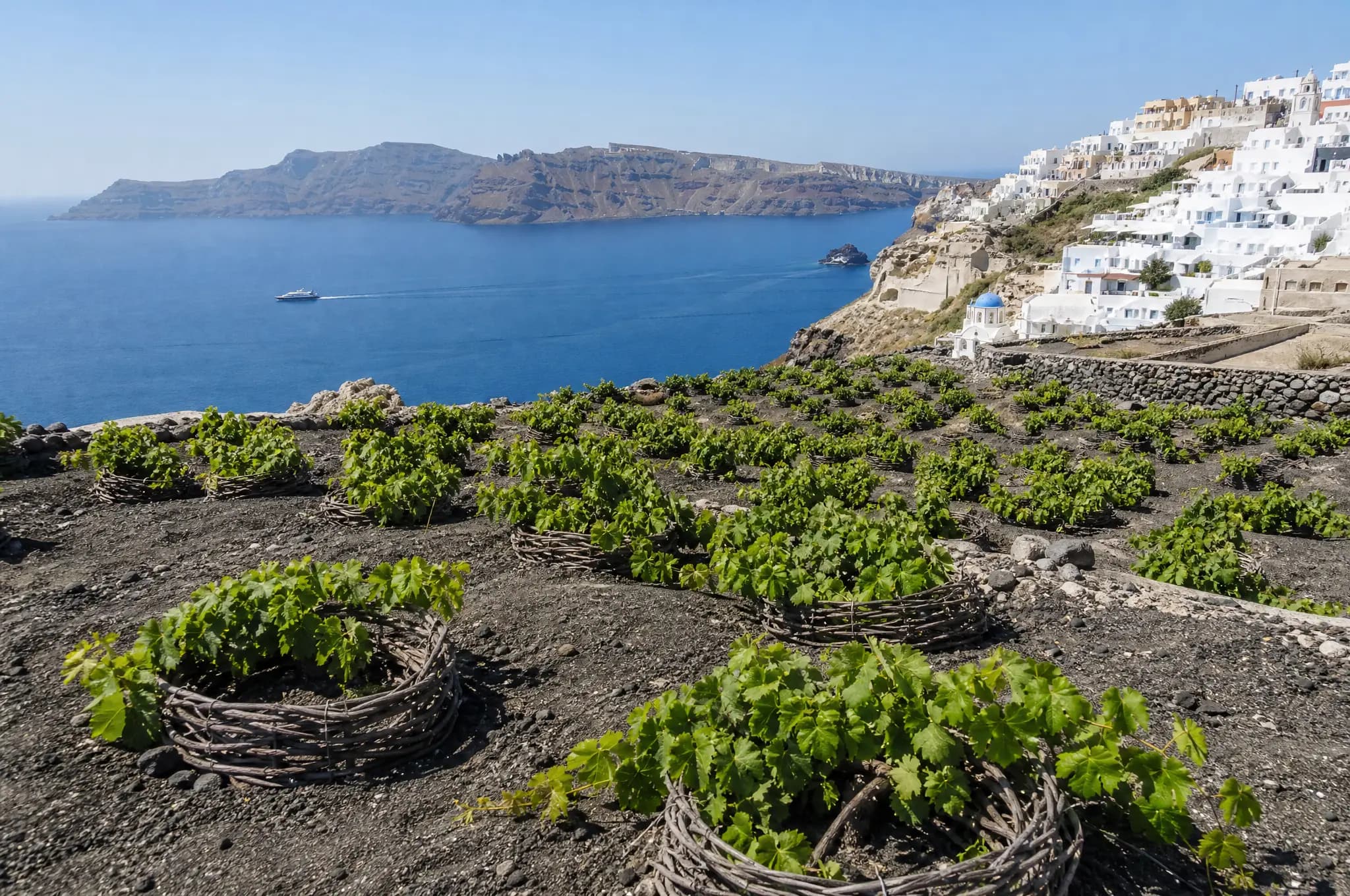 Santorini Estate, Santorini