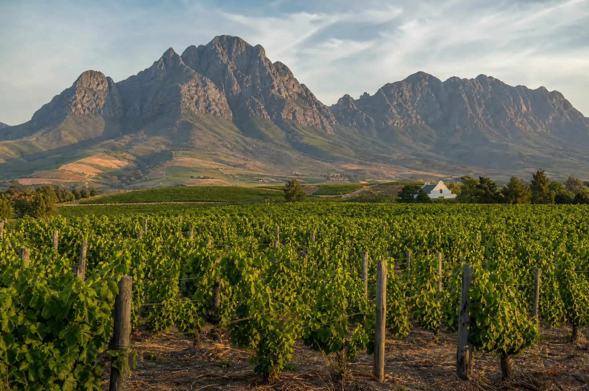Stellenbosch Estate, Stellenbosch