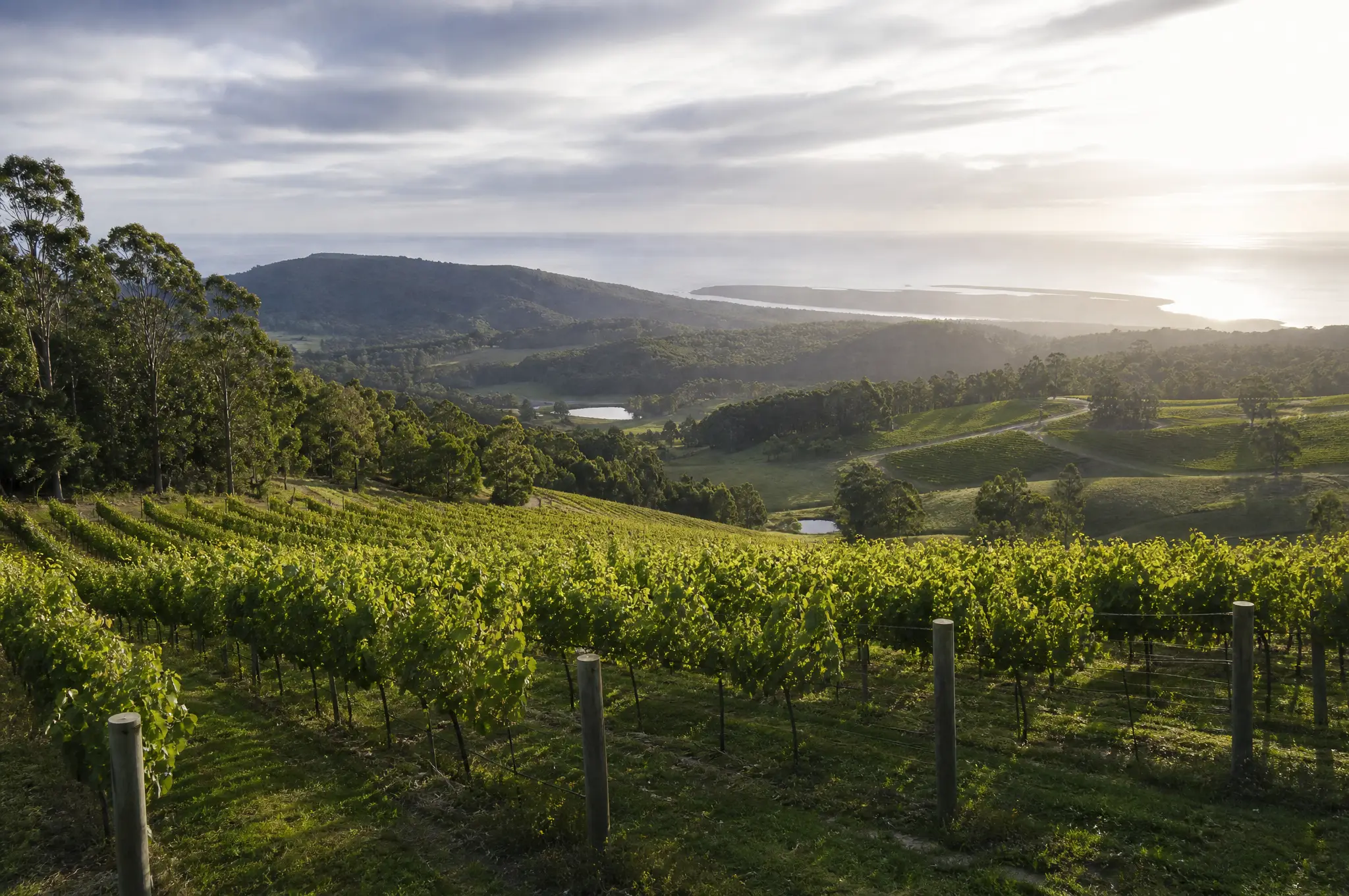 Tasmania Estate, Tasmania