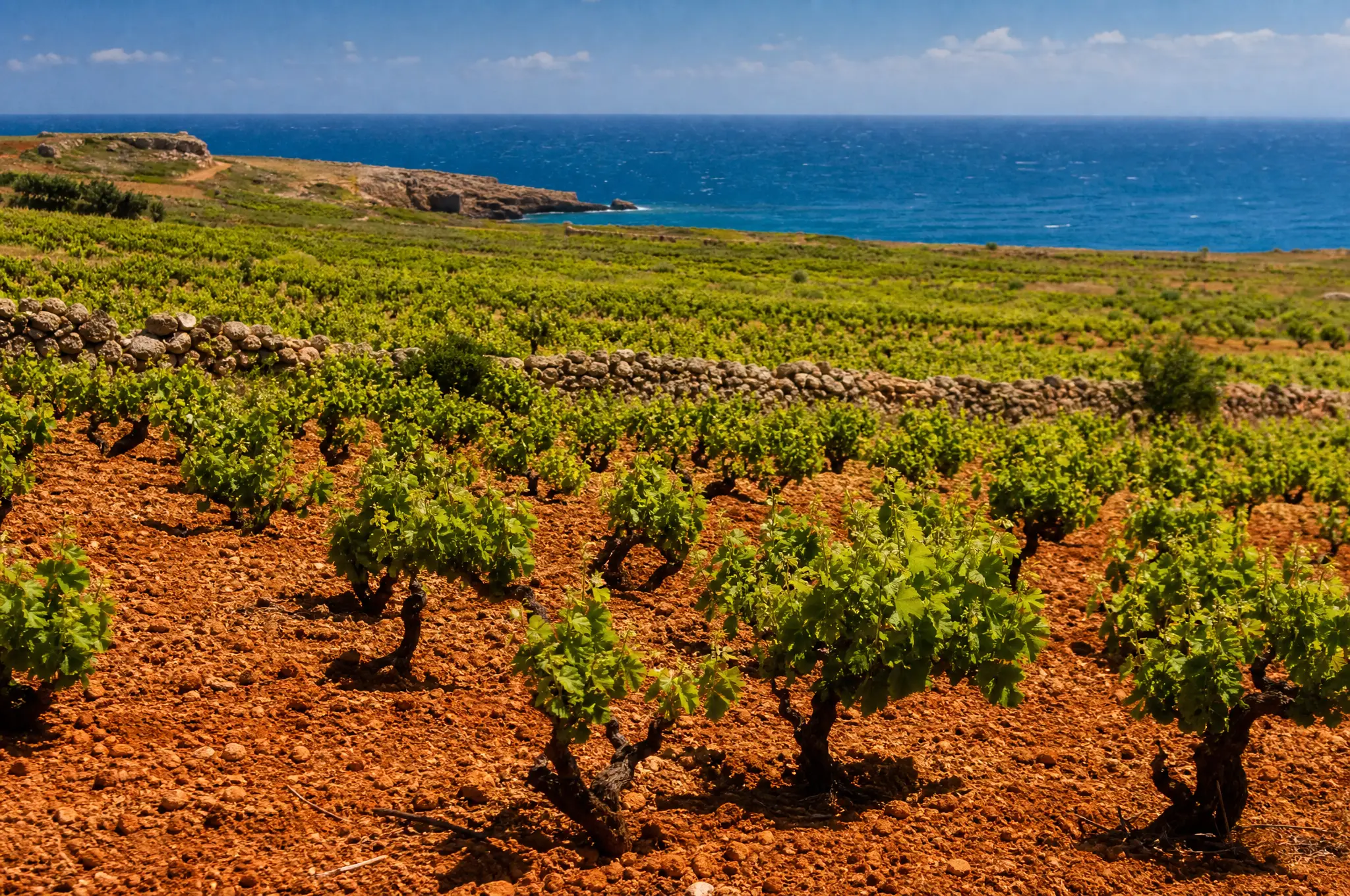 Vittoria Estate, Vittoria
