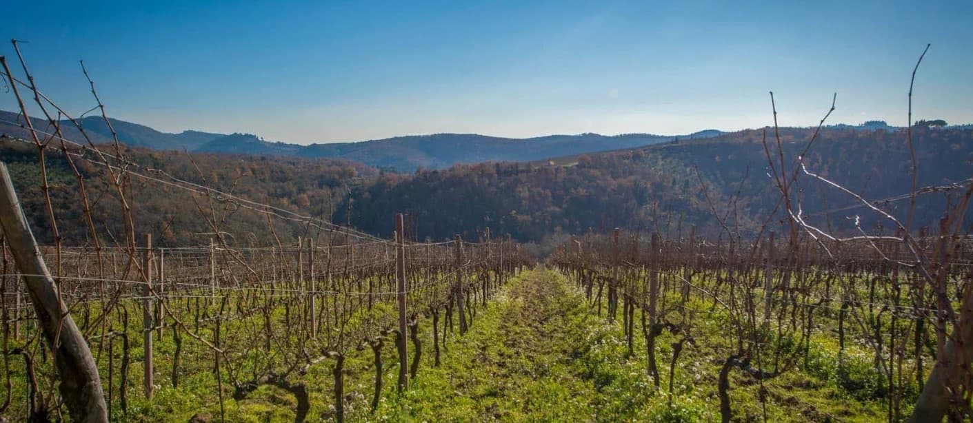 Tenuta Val d’Oro, Chianti Classico