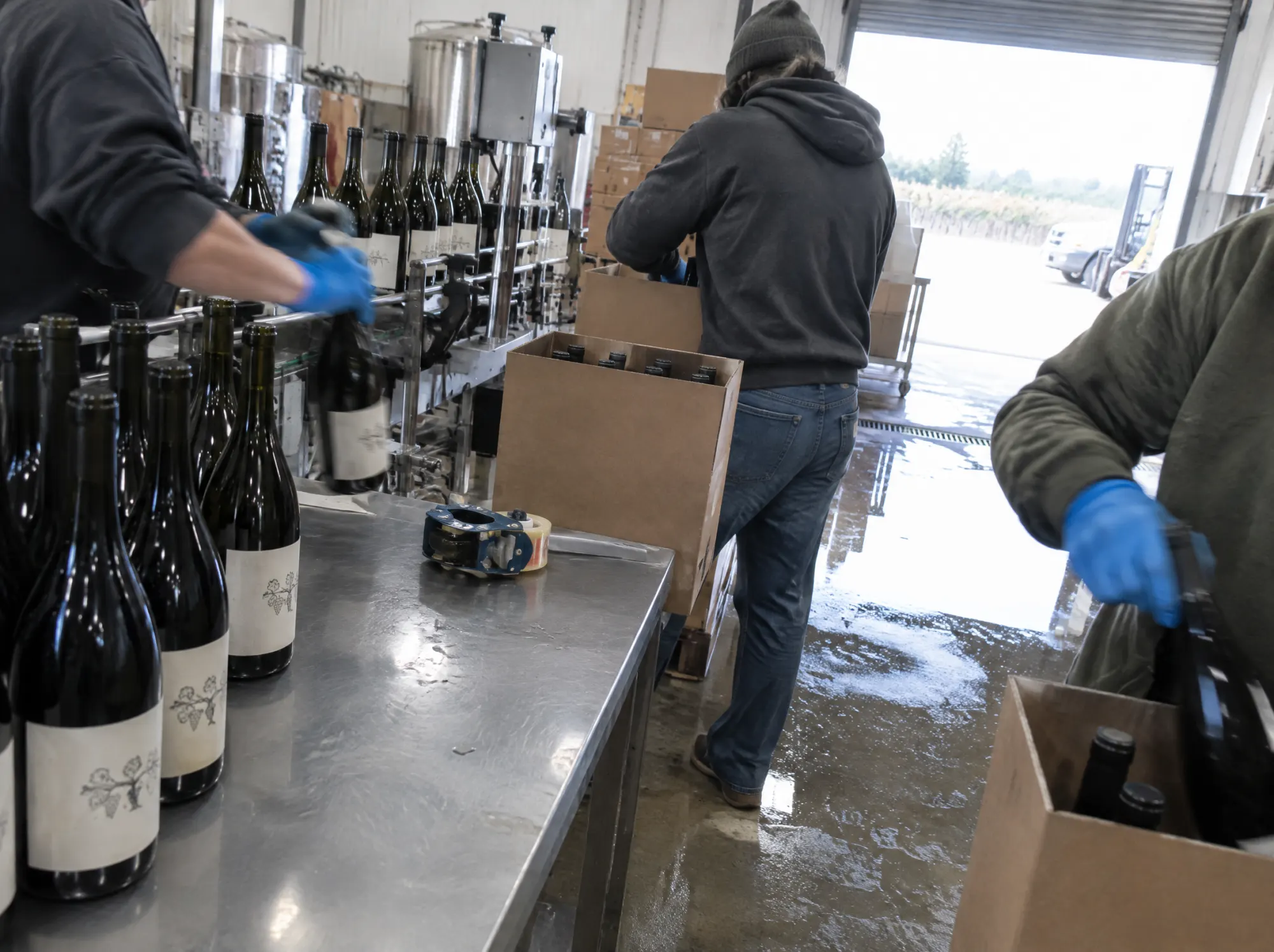 Labelled bottles coming off the line and into cases