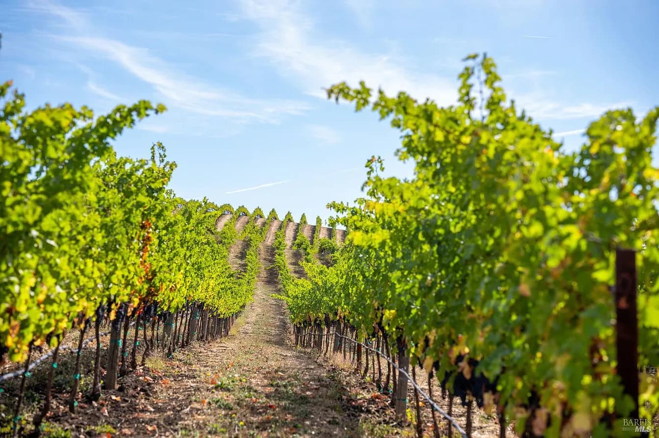 A working plot at Mumm Canyon