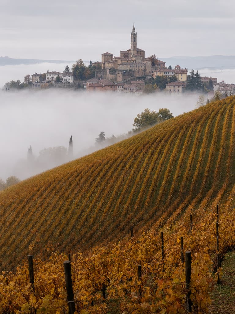 A working plot at Cantina del Colle