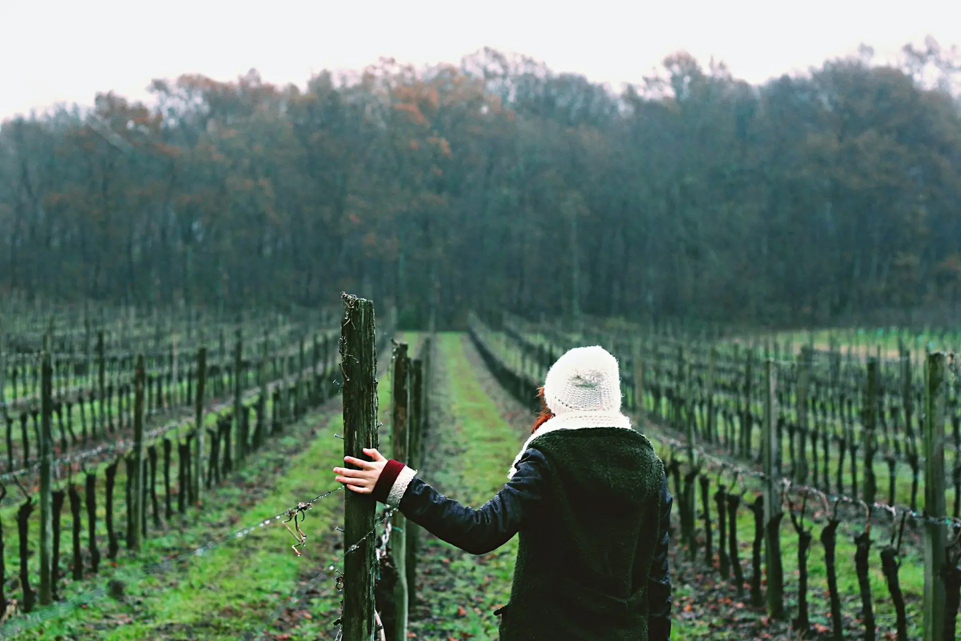 Barolo Nebbiolo 2020 label