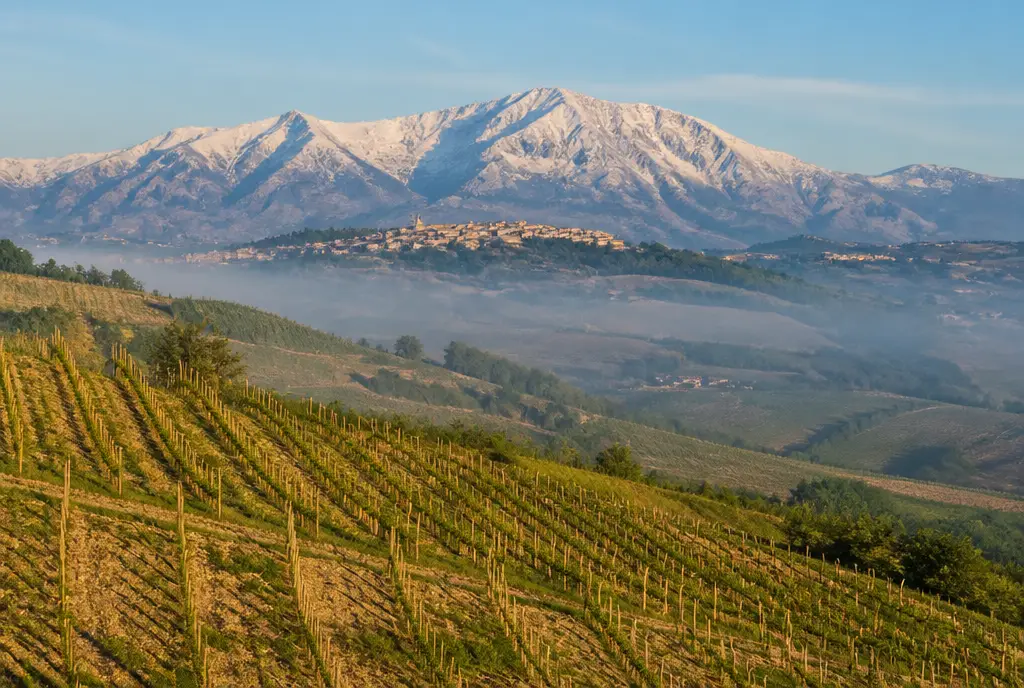 Cerasuolo d'Abruzzo Rosato — Abruzzo