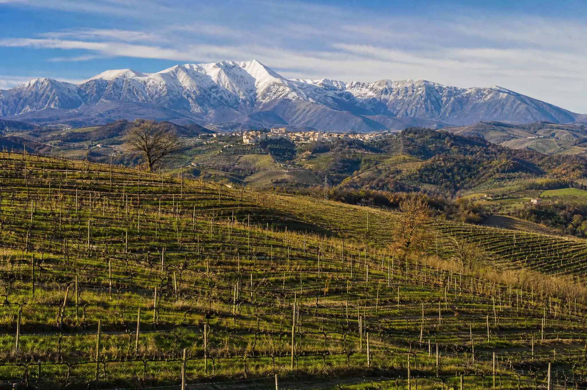 Abruzzo Estate