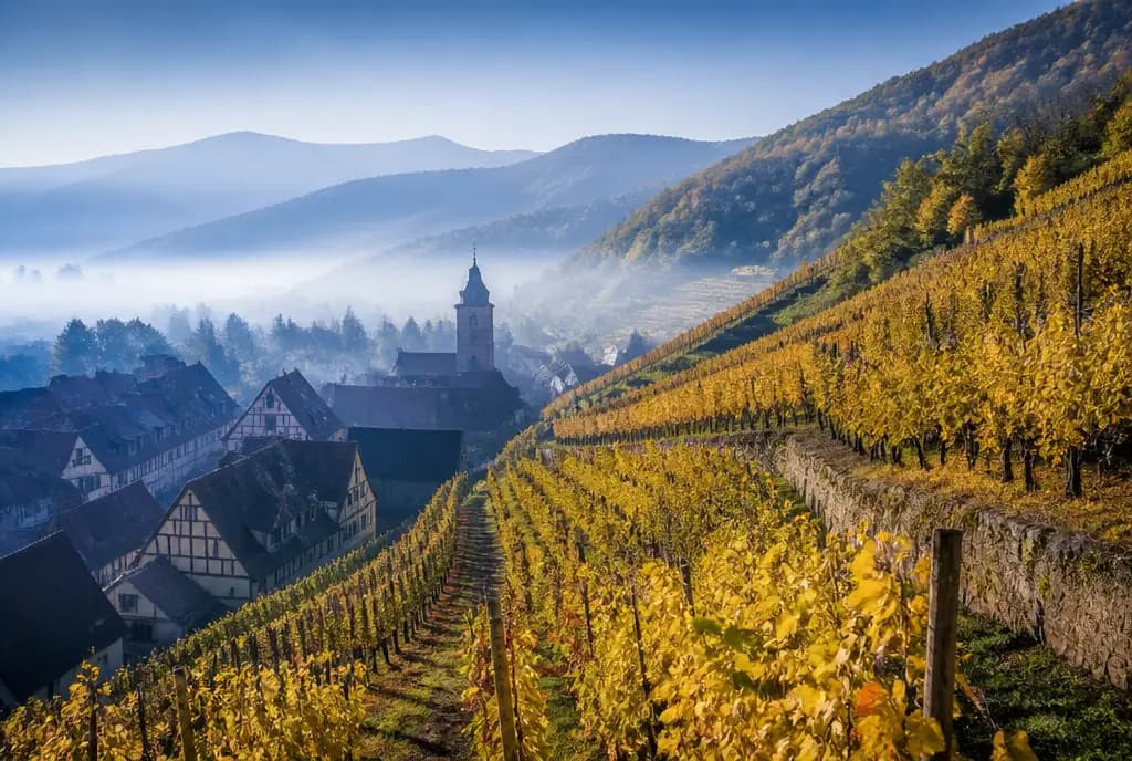 Grand Cru Riesling — Alsace