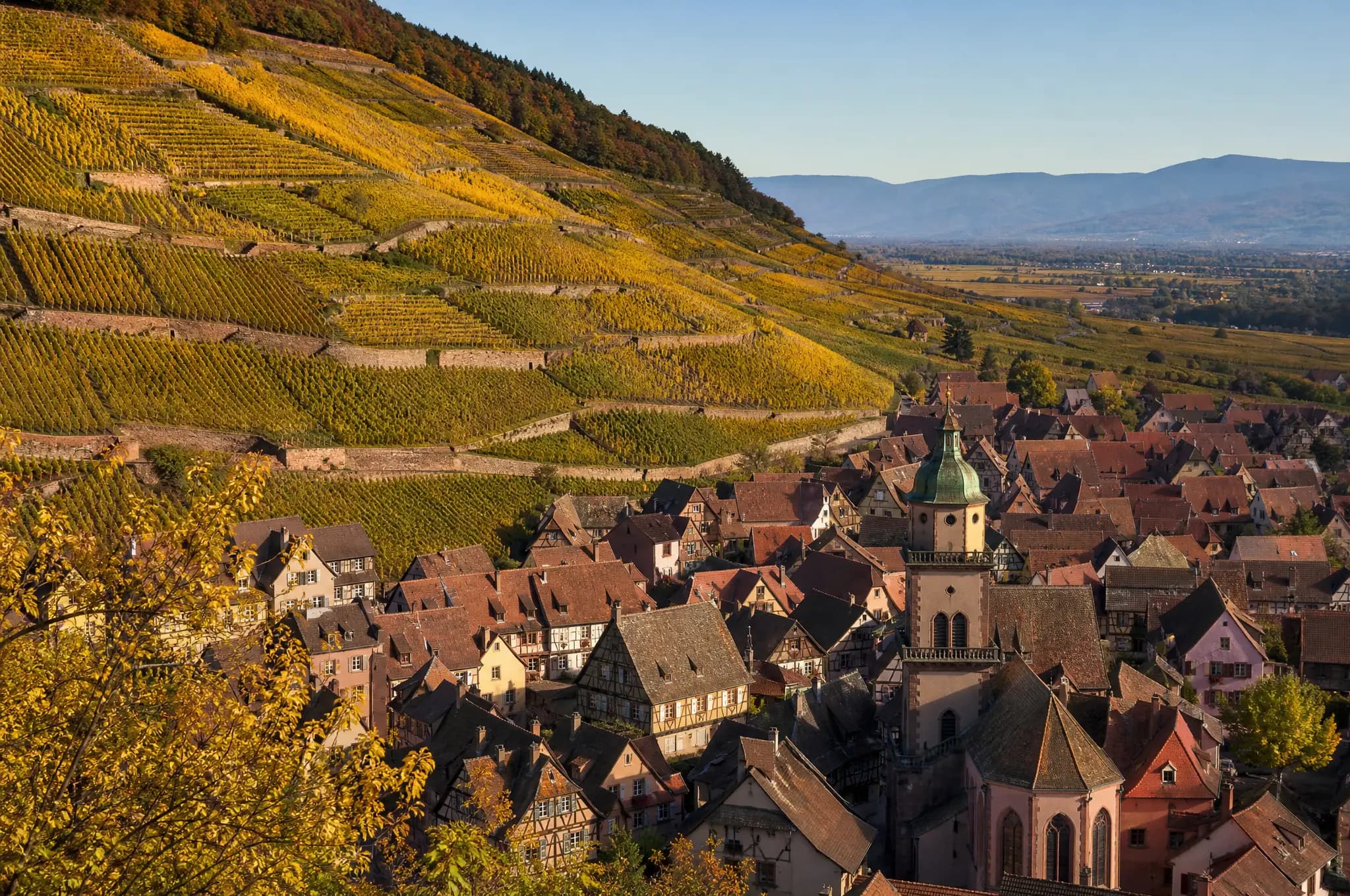 Alsace Estate