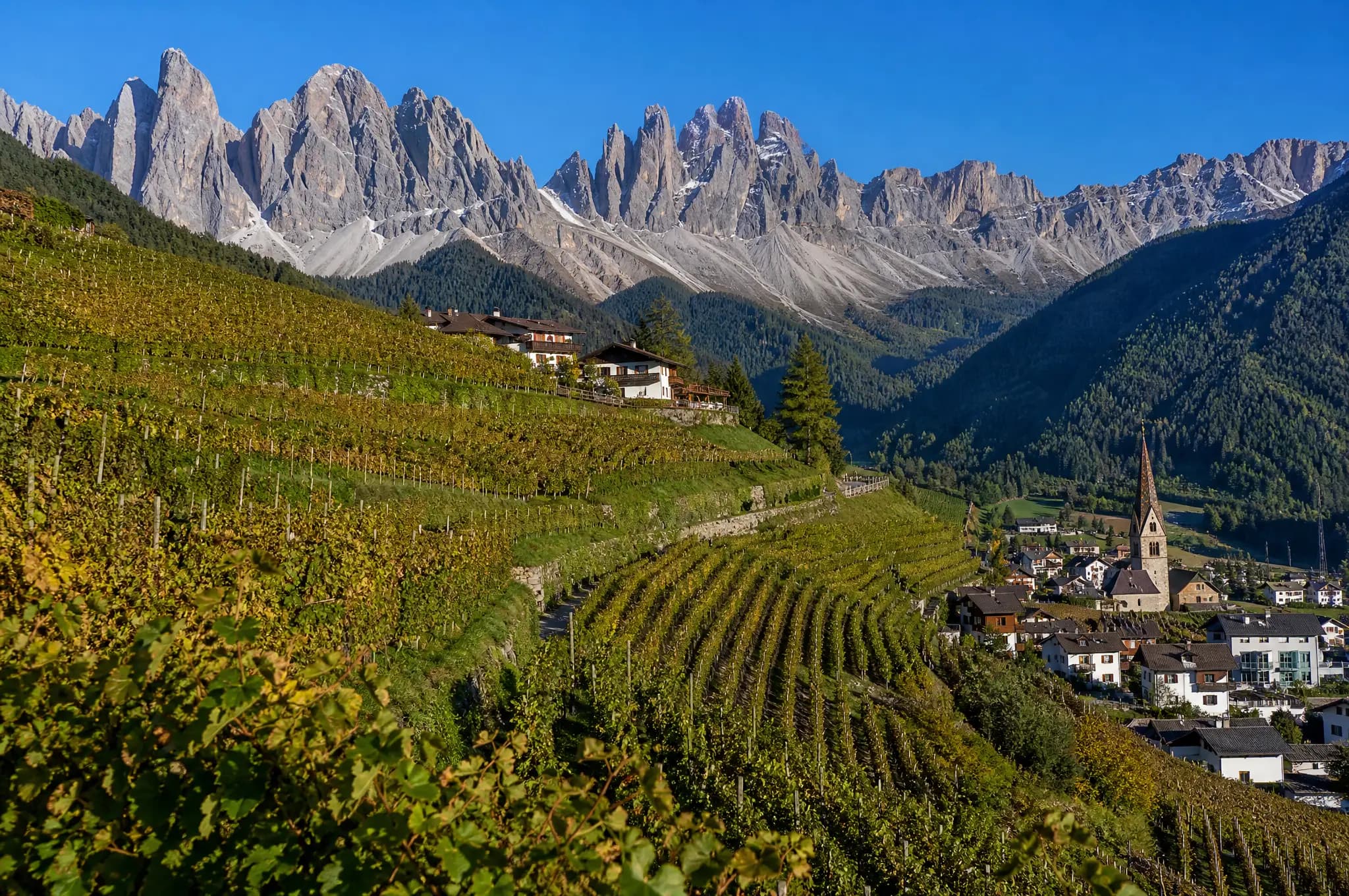 Alto Adige Estate