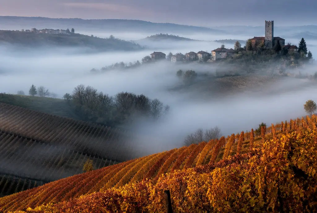 Barbaresco Riserva β Barbaresco