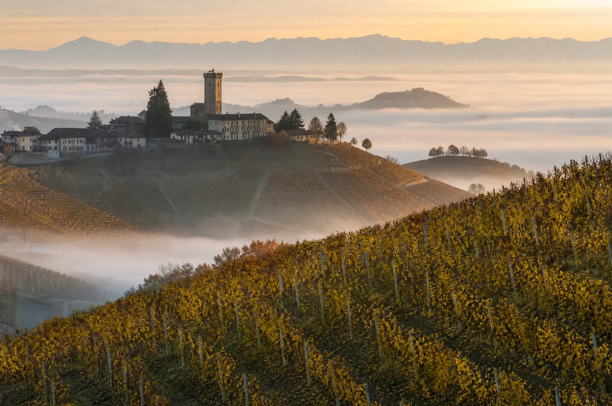Barbaresco DOCG — Barbaresco