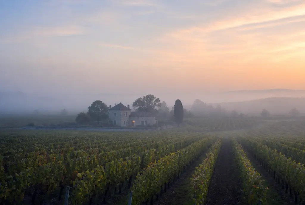 Crasse-de-Fer Reserve — Pomerol