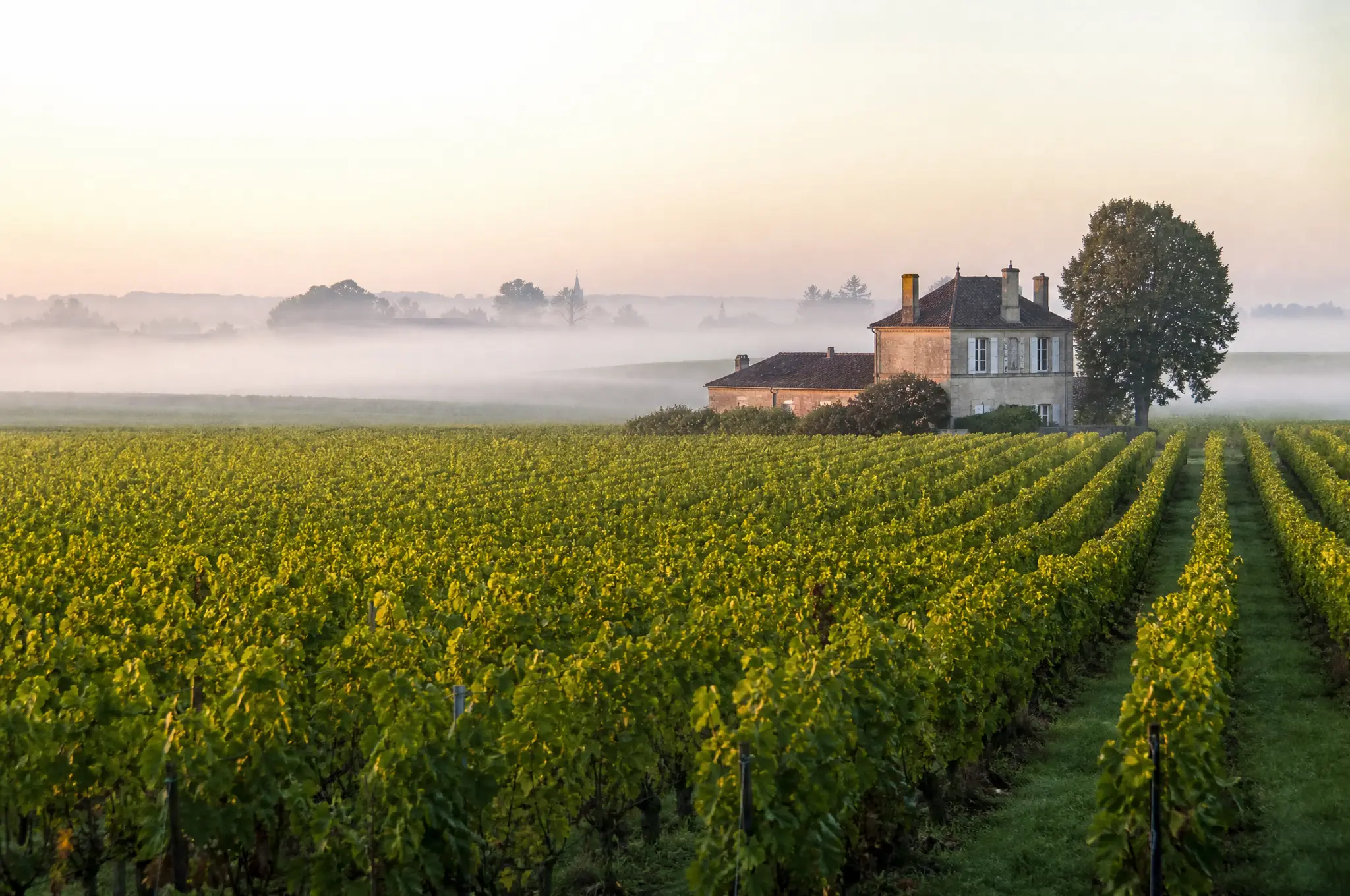 Pomerol Merlot — Pomerol