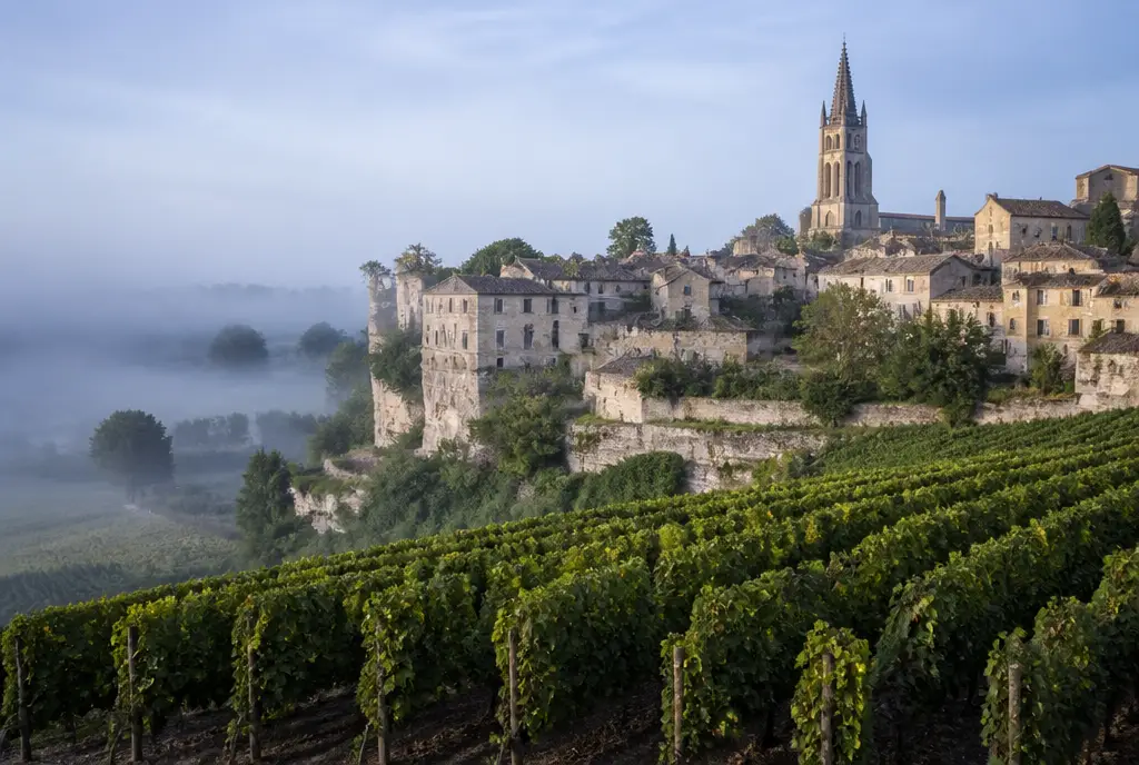 Limestone-Plateau Cabernet Franc — Saint-Émilion