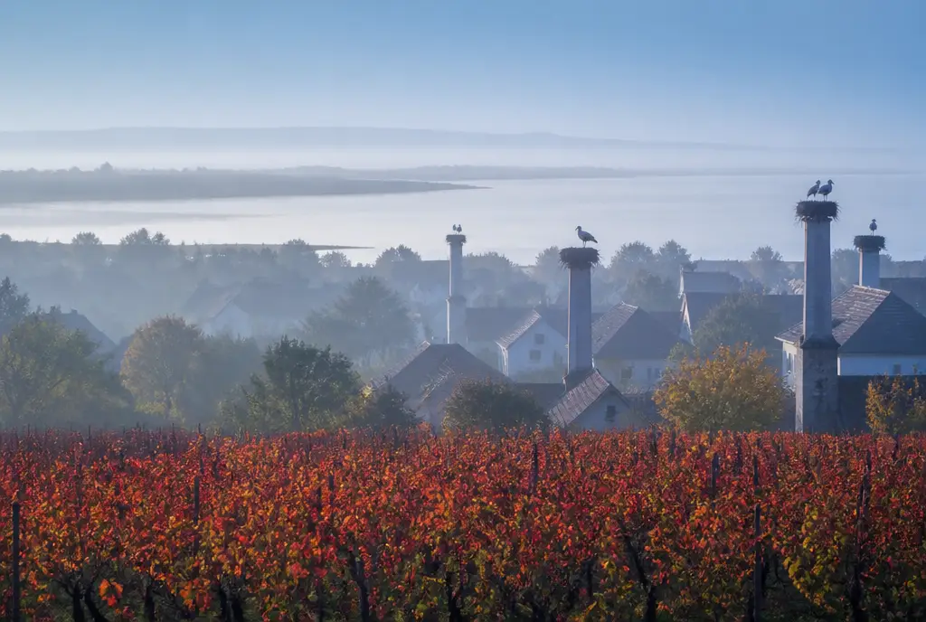 Blaufränkisch Reserve — Burgenland