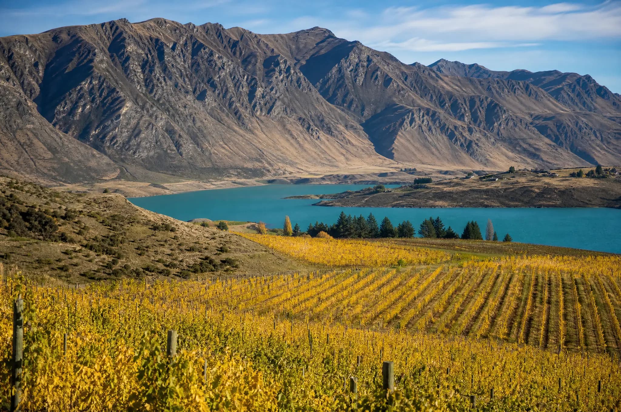 Central Otago Pinot Noir — Central Otago