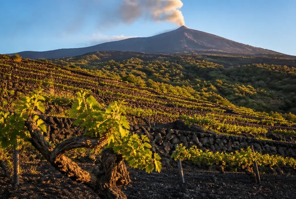 Etna Rosato β Etna