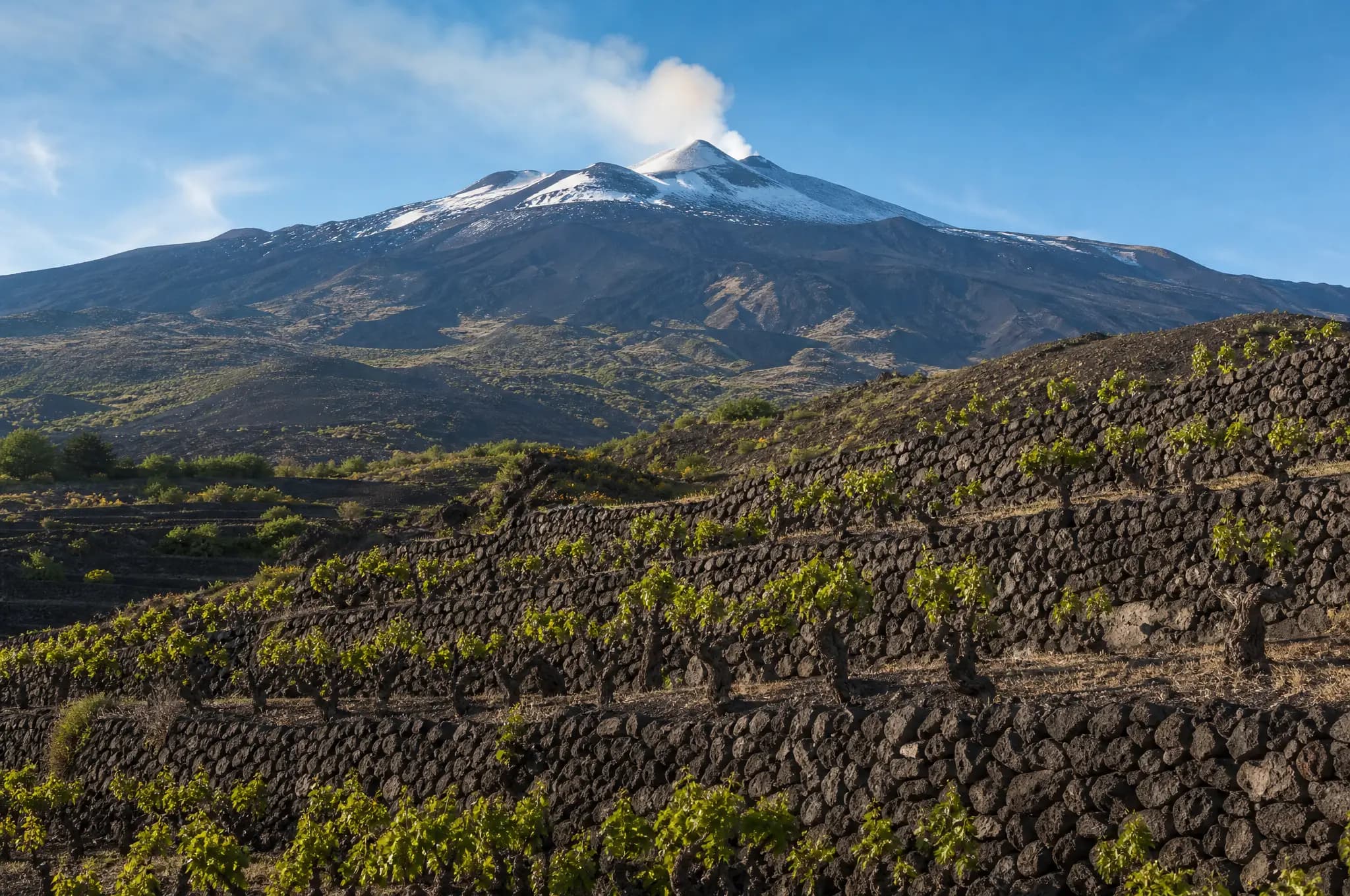 Etna Rosso DOC — Etna