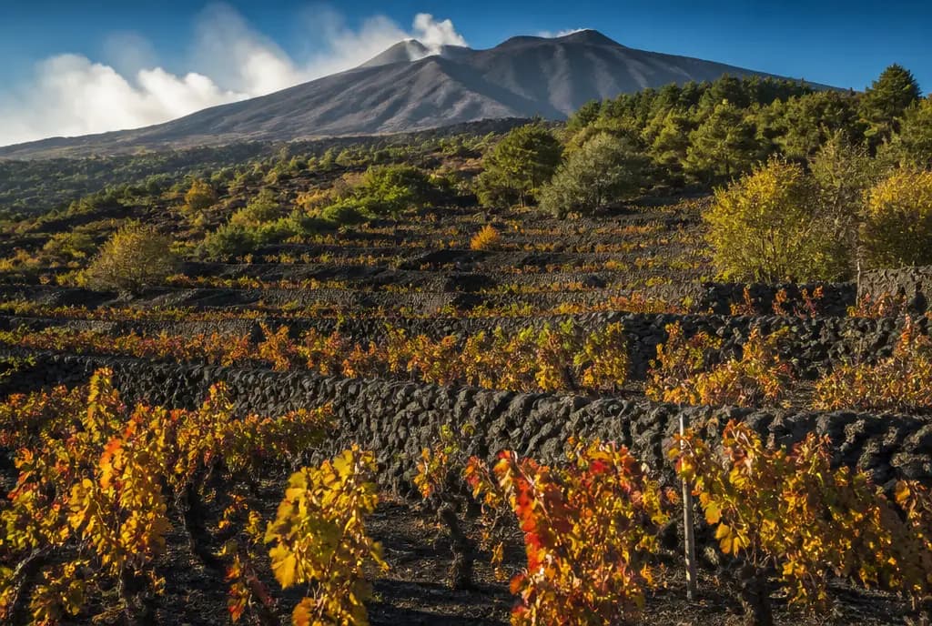 Etna Rosso DOC β Etna