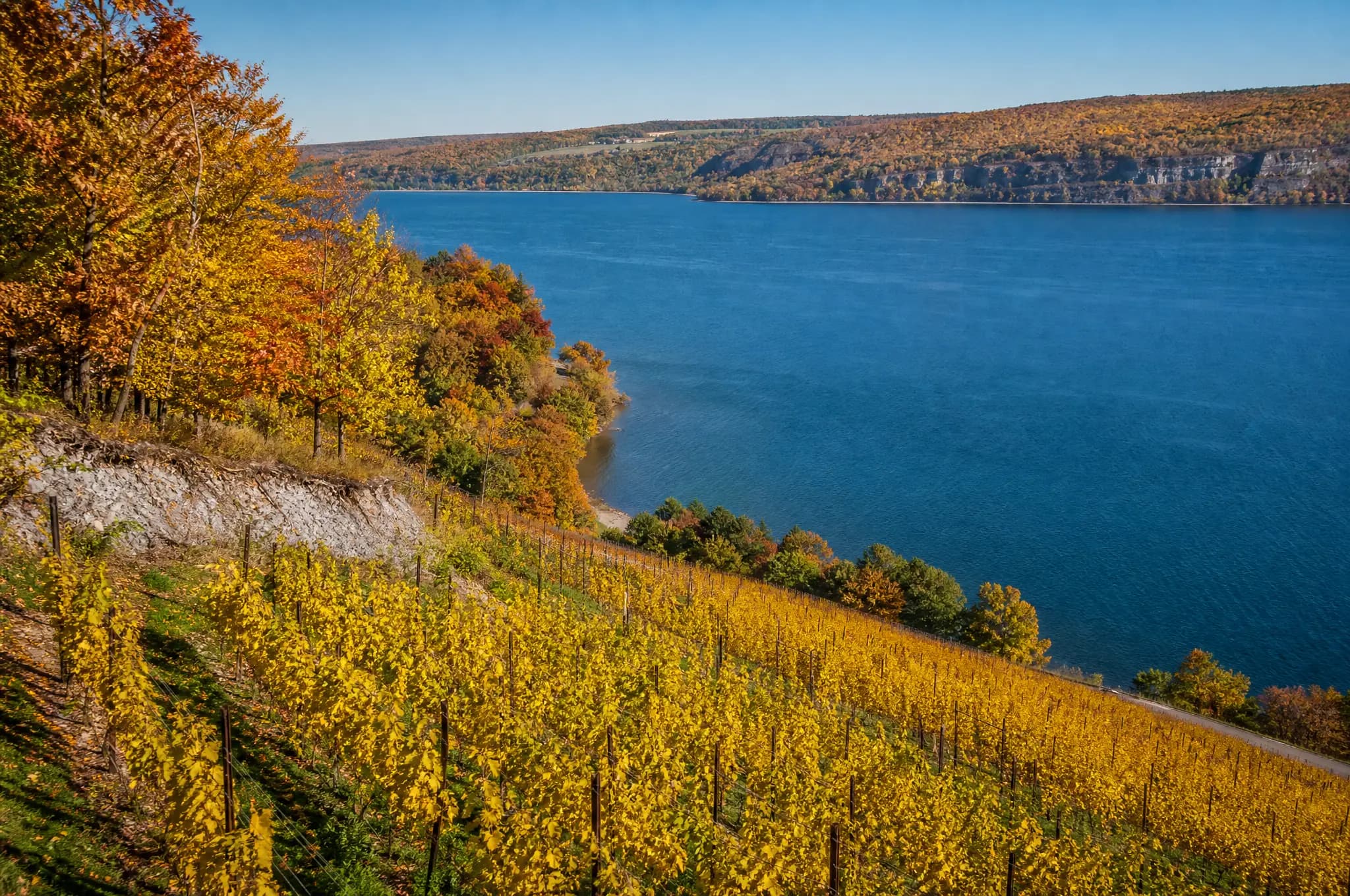 Finger Lakes Estate