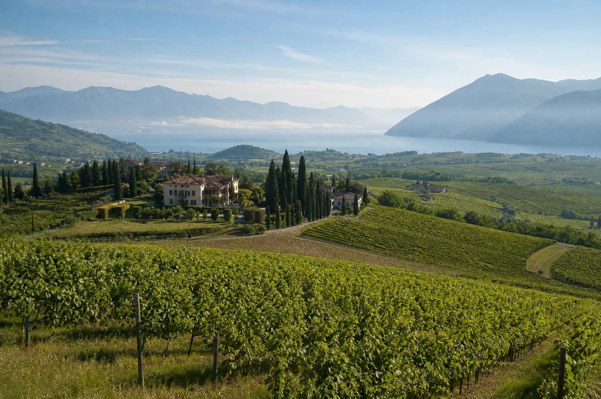 Franciacorta Brut — Franciacorta
