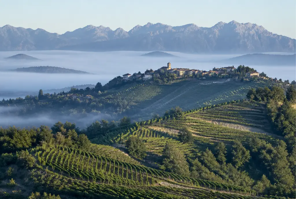 Collio Pinot Grigio β Collio