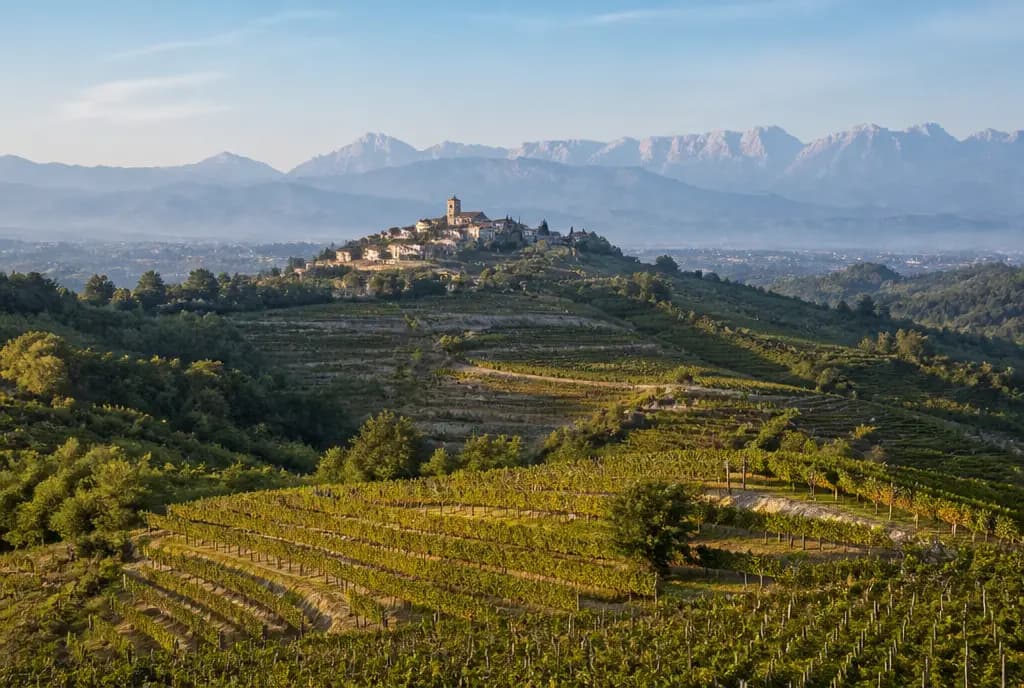 Collio Friulano — Collio