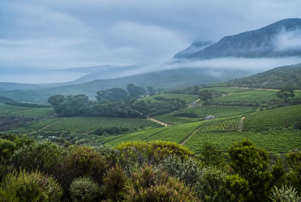 Walker Bay Chardonnay — Hemel-en-Aarde