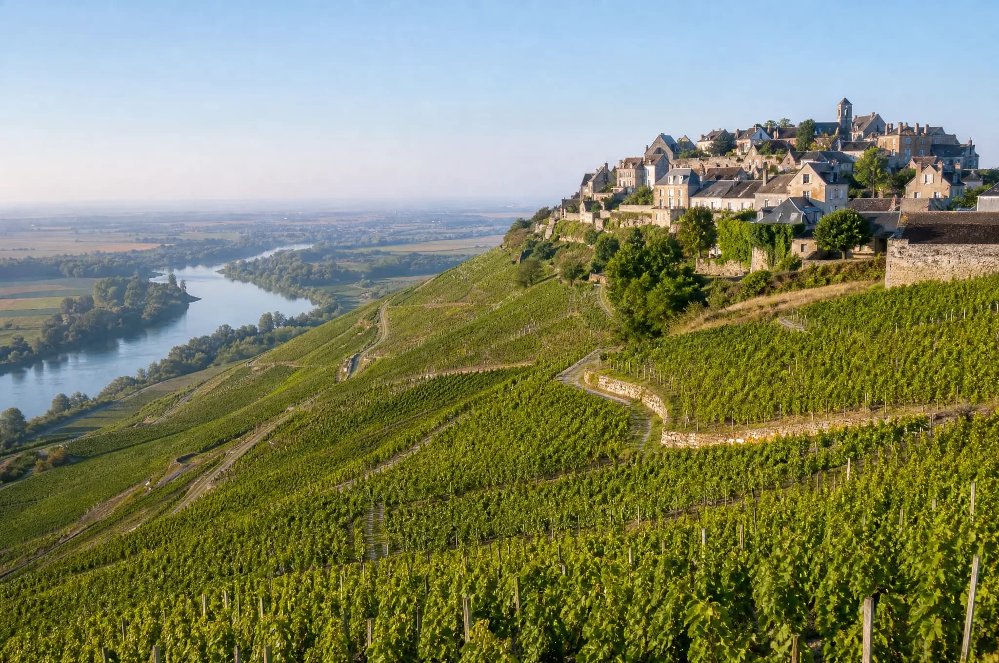 Sancerre Sauvignon Blanc — Sancerre