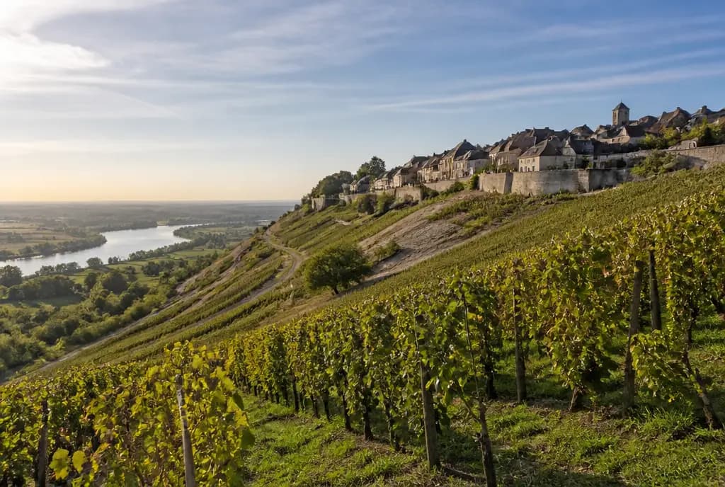 Sancerre Sauvignon Blanc — Sancerre