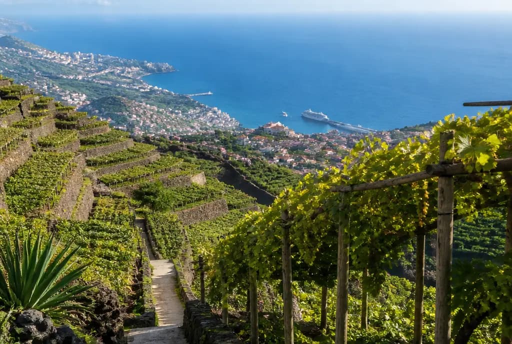Sercial (Dry) — Madeira
