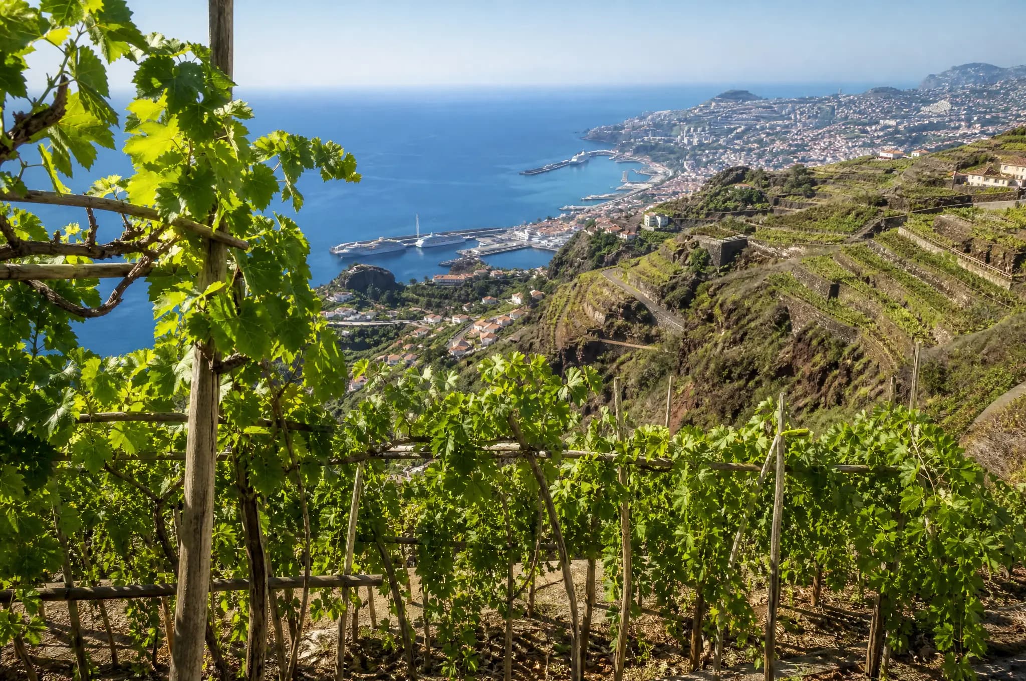 Sercial (Dry) — Madeira
