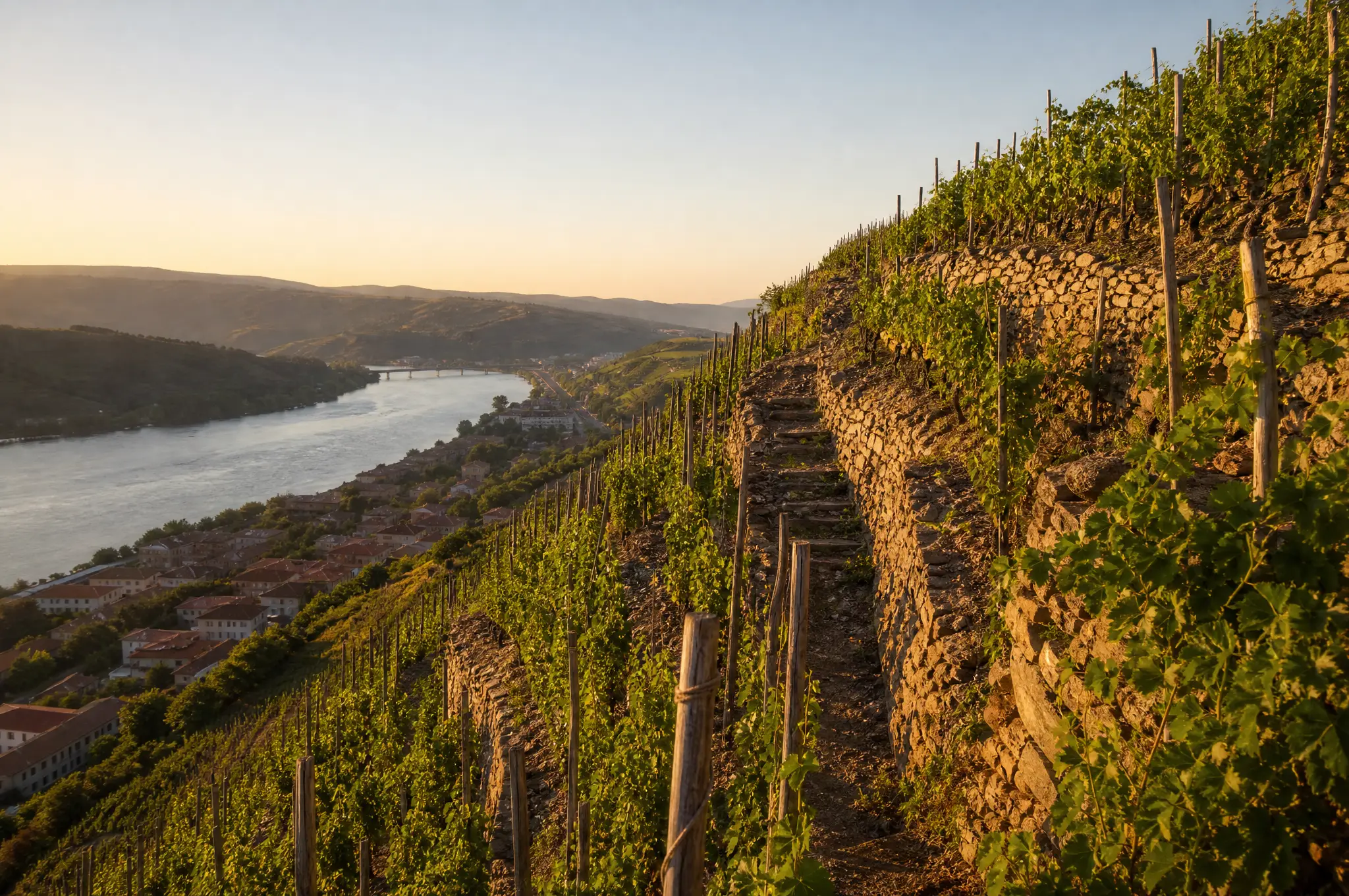 Côte-Rôtie & Hermitage Estate