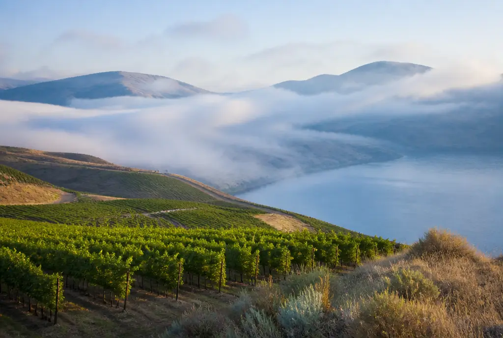 South Okanagan Pinot Noir — Okanagan Valley