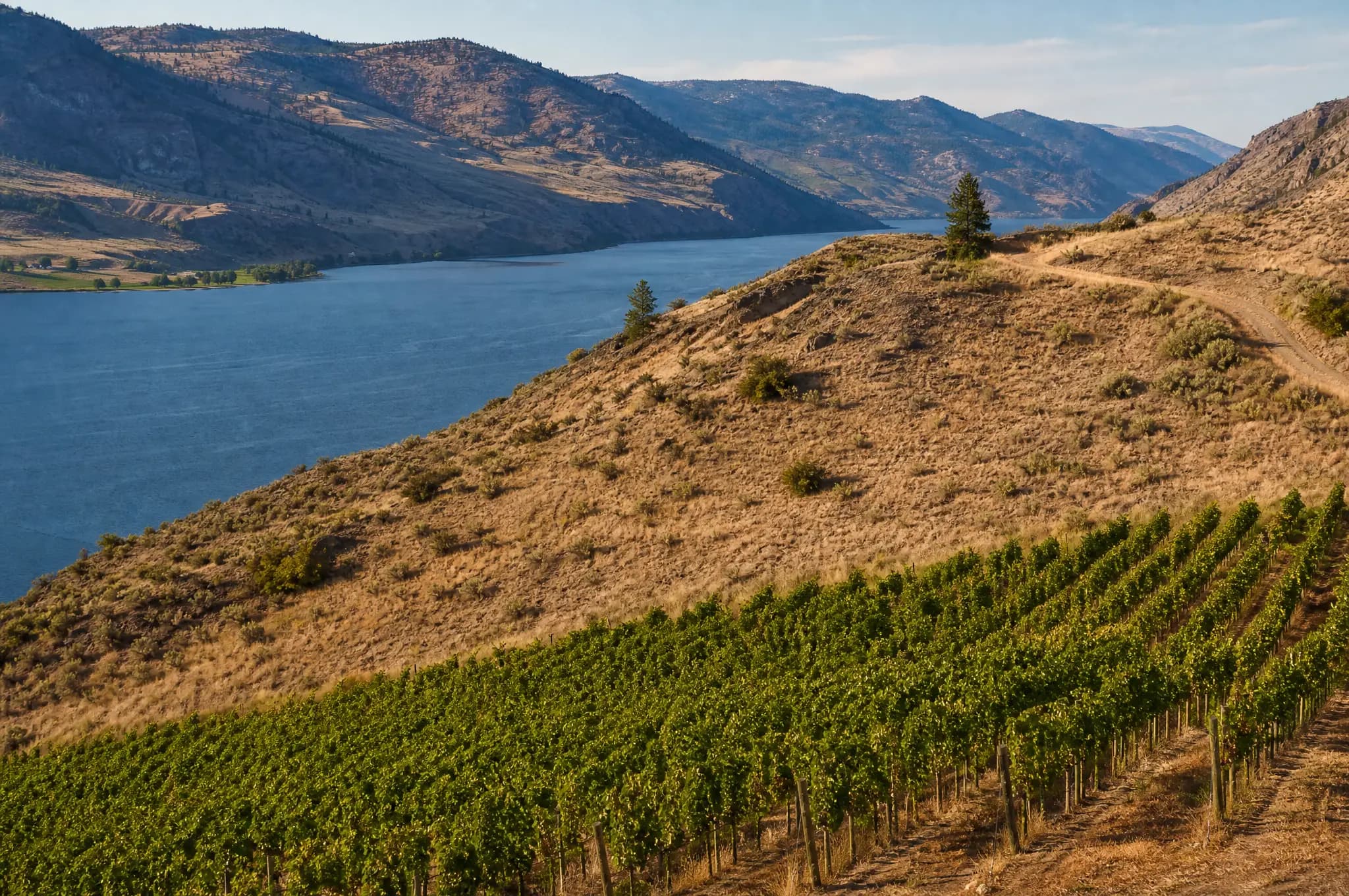 Okanagan Bordeaux Blend — Okanagan Valley
