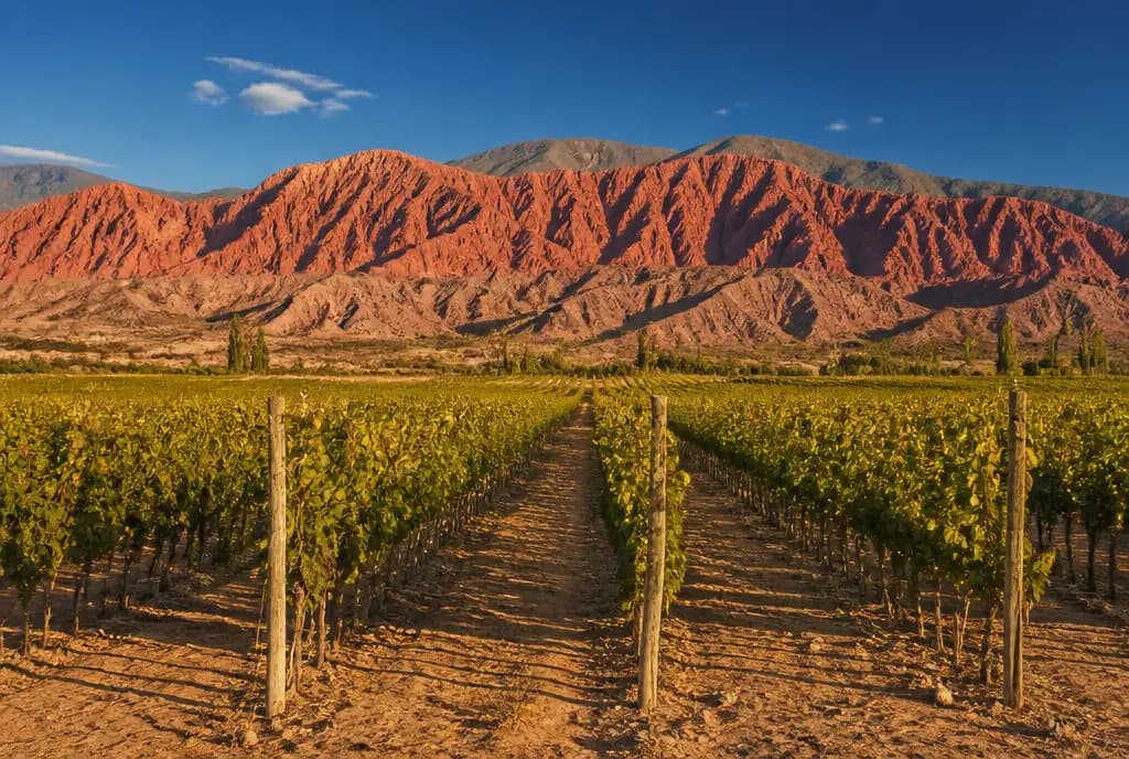 Calchaquí Tannat-Malbec — Cafayate