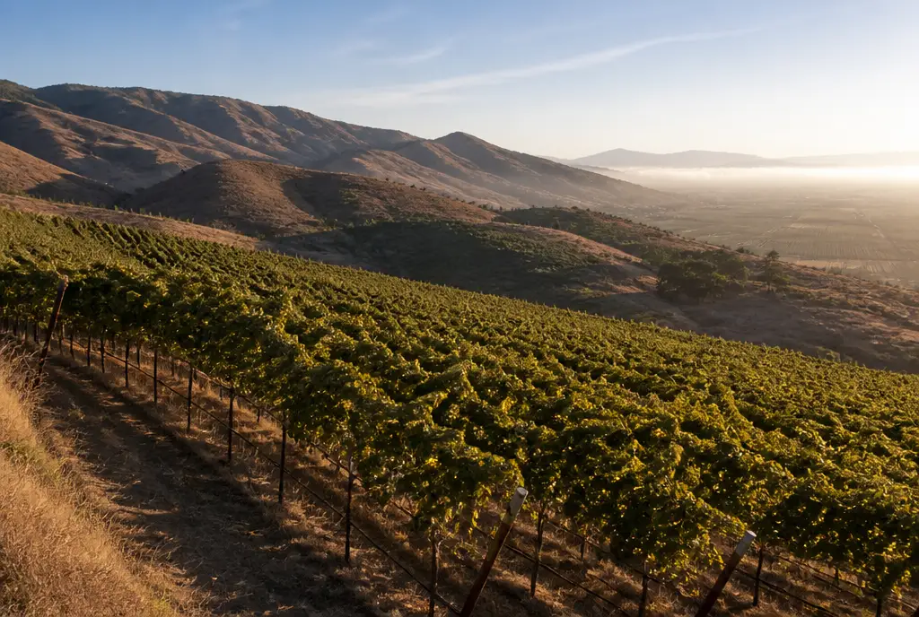 Highlands Pinot Noir — Santa Lucia Highlands