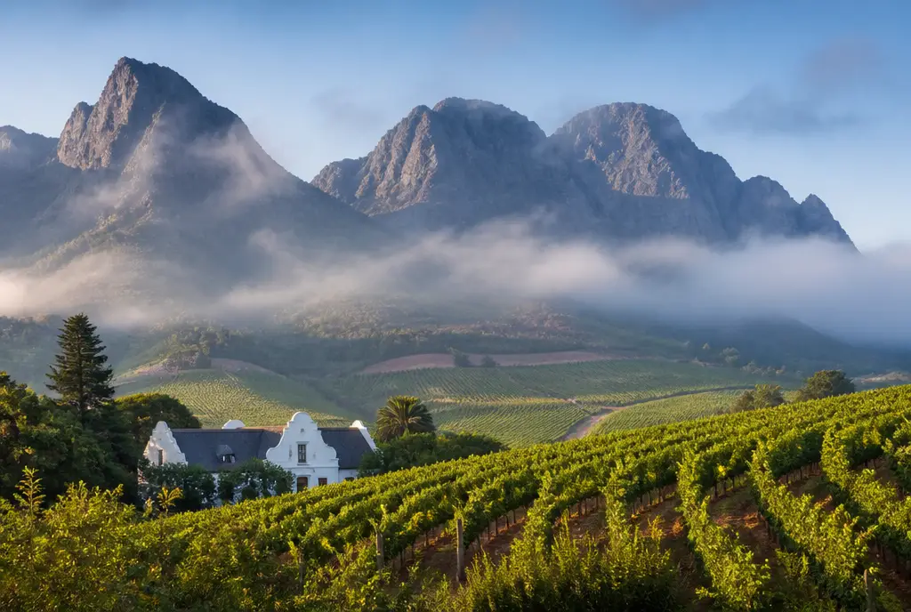 Cape Bordeaux Red Blend — Stellenbosch